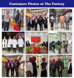 Vitboo Broiler Growth Booster Penambah Berat Badan Cepat Penggemuk Unggas Aditif Pakan Suplemen Vitamin untuk Ayam Bebek - Product Image 5