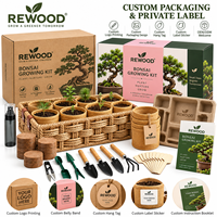 Vente en gros de 40 kits de culture de bonsaï avec outils, pots, graines, panier, étiquette privée OEM