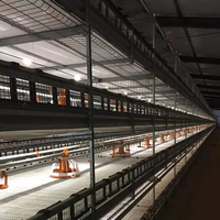 Solution clé en main de haute performance pour l'élevage avicole, planification complète de la construction pour les fermes de poulets à grande échelle