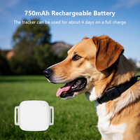 Xexun GPS Software Plataforma Barato Pet Gps Tracker Localizador de dispositivos de seguimiento GPS de alta precisión para mascotas Perro Gato