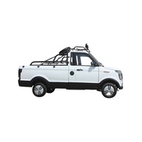 Nouveau mini pick-up électrique JINPENG DS, personnalisable avec le soutien du fabricant, disponible en Allemagne et en France, conduite à gauche, en vente