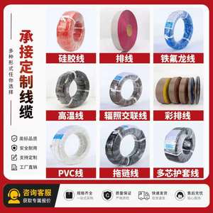 สายไฟหุ้มฉนวนเทฟลอน UL20242 แบบหลายแกน ขนาด 0.5 มม. ตัวนำแบบตีเกลียว 300V สายไฟอิเล็กทรอนิกส์ ทนไฟ IP20 รูปทรงกลม ผลิตในจีน - Product Image 3