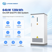 Gabinete de Almacenamiento de Energía Todo en Uno con Batería de Iones de Litio, Conexión CC, Fuera de la Red, Protección IP54 y Capacidad de 1028 kWh