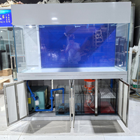 Aquarium marin sur mesure en verre ultra-blanc pour coraux avec meuble, sump, écumeur de protéines et refroidisseur d'aquarium