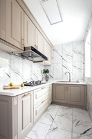 Ensemble de meubles de cuisine modulaires modernes sur mesure en gros, finition personnalisée, évier, crédence, armoires de cuisine pour appartement