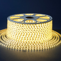 Bande LED RGB DC12V Haute Luminosité SMD5050 3000K-6500K IP65 Étanche Flexible Barre Lumineuse LED 5M/10M/15M/20M