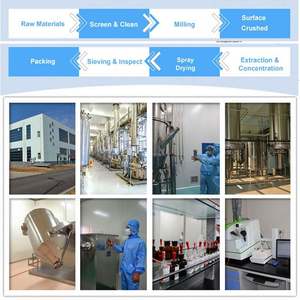 โรงงานอุปทานอาหารเสริม Bcm 95 Curcumin - Product Image 5