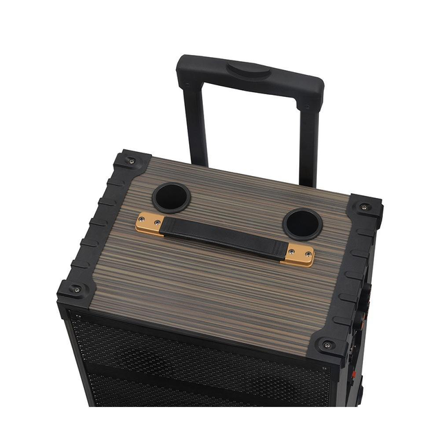 Factory NDR-C12 Outdoor Square Dance Karaoke Wireless 12inch Wooden Box Speaker FM Radio Anti-Fall Features Party 2000-4000mAh
