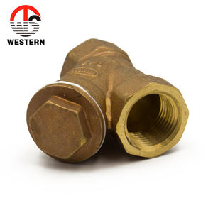 ตัวกรองทองเหลืองแบบ <span class=keywords><strong>Y</strong></span> ชนิดขัดเงา PN20 FXF ผลิตในจีน - Product Image 5