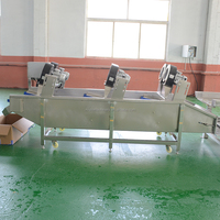 Automatische Aardappelpeer Sinaasappeltomatenreinigingsmachine Groentefruitreinigingsmachine