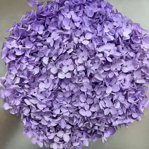 批发20-25厘米直径厂家直销永生花安娜绣球花婚礼母亲节圣诞花束 - Product Image 2