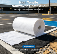 Géotextile non tissé haute résistance pour la séparation des allées de parking