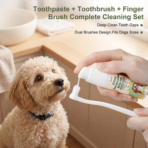 Dentifrice pour animaux de compagnie saveur bœuf, ensemble brosse à dents et dentifrice pour chat et chien, élimination du tartre pour petits chiens - Product Image 3