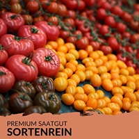 Kit de 20 sachets de graines de tomates biologiques style ferme, pour jardin, usage domestique et extérieur, écologique et de qualité supérieure, pour les passionnés de plantes