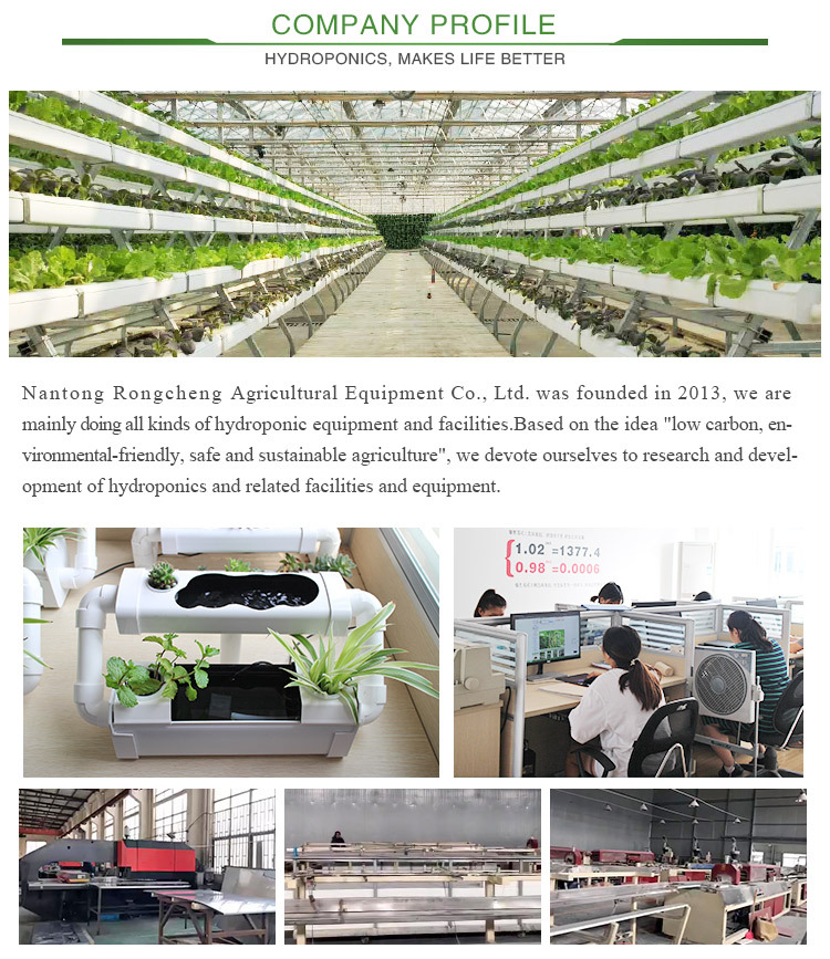 Jiangsu Rongcheng Agricultural Technology Development Co., Ltd. logo