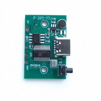Solution ODM pour haut-parleur personnalisé avec PCBA, amplificateur 3-20W, production flexible en petites séries