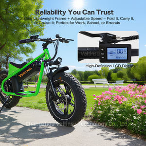 New <strong>Product</strong> 36v 10.4Ah 350w <strong>Motor</strong> Fatbike Fat Tire Mountain City Pedal Assisted E-<strong>bike</strong> 16 Inch Electric Dirt <strong>Bike</strong> - Product Image 4