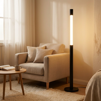 Lampe sur pied rétractable COB 9W DC12V avec variateur tactile progressif et veilleuse pour salon et chambre à coucher