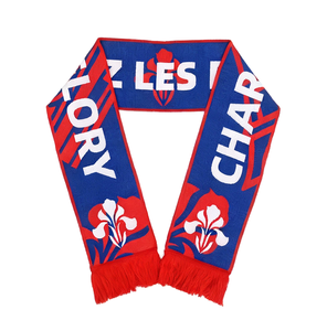 Bufanda de Doble Capa Personalizada para Fanáticos de Equipos Nacionales y Clubes, Cálida, Reversible, con Borlas, Suave, para Fútbol - Product Image 1