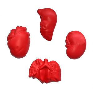 Ballon anti-stress en mousse PU en forme de rein humain, cadeau promotionnel en gros - Product Image 1