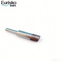 Grosir Eurisko ORS-DIA190 11.1mm Silinder Batang Abrasif Berlian Kekerasan Tinggi OEM SiC Keramik untuk Finishing Permukaan Kaca 50mm