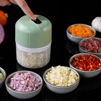 Nieuwe Product Ideeën 2026 Fruit&Groente Gereedschap 250ml Mini USB Elektrische Knoflookhakker Voedselhakker Snijder Met USB Kabel