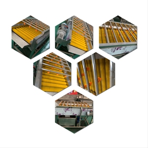 Máquina eléctrica comercial para lavar frutas y verduras para la limpieza continua de productos en plantas de producción de alimentos. - Product Image 6