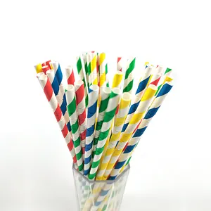 China Bulk Biodegradable paper straw wrapped in plastic Sustainable cardboard paper straw price