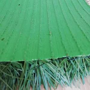 Cảnh Quan Sân Cỏ Nhân Tạo Giá Nóng Được Sử Dụng Ở Trung Đông - Product Image 2