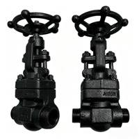 Vanne à soupape en acier inoxydable forgé 304L à filetage femelle PN20, actionnée par volant OEM pour l'alimentation et le drainage d'huile, de gaz, de produits chimiques et d'eau