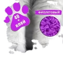 Lot de 40 capuchons de protection pour ongles de <span class=keywords><strong>chat</strong></span>, manucure pour animaux de compagnie, capuchons de griffes en silicone avec colle gratuite pour chiens et chats - Product Image 2