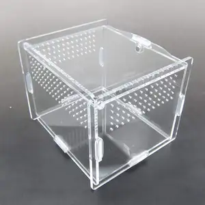 Clear acrylic climbing pet plexiglass feeding box rectangle house tarantula enclosure cage acrylic reptile plastic breeding box