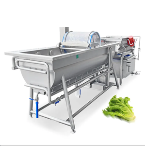 Planta Procesadora de Frutas y Verduras con Lavado por Vórtice, de Acero Inoxidable 304 Ligero, 220/380V, 1 Año de Garantía - Product Image 3