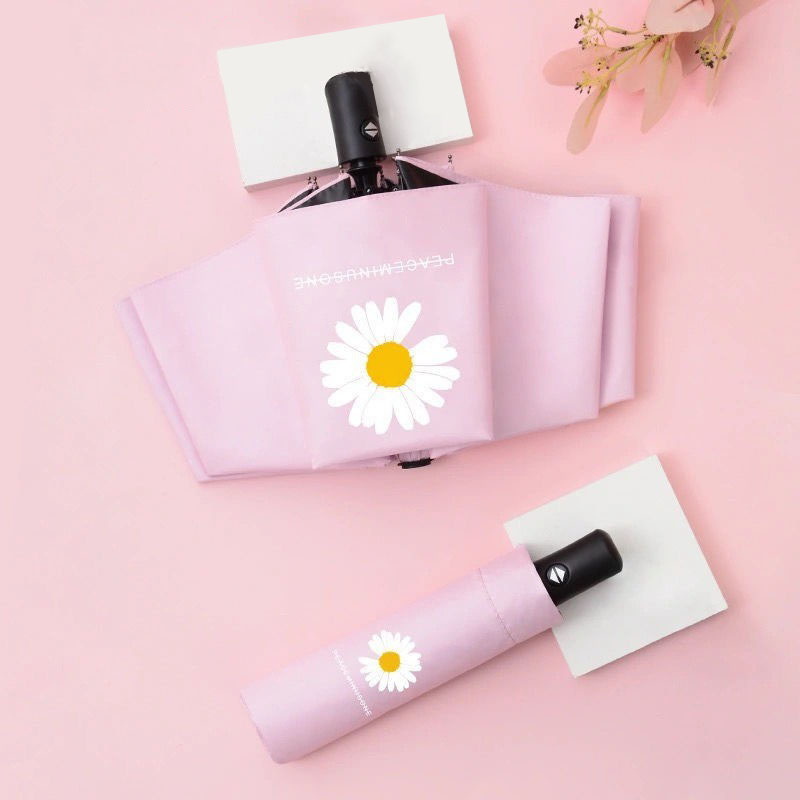 Automatique Daisy Rose