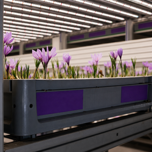 Système d'agriculture verticale automatisée en conteneur intelligent à climat contrôlé pour la culture du safran - Product Image 6