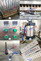 Machine à Gommes Vitaminées Semi-automatique de Laboratoire en Acier Inoxydable de Qualité Alimentaire pour Dosage Stable et Production en Petites Séries