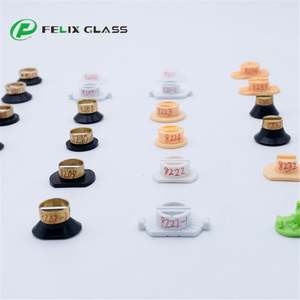 Biseladora de Lentes Automática 2024 con Ventosas, Instrumentos Ópticos para un Biselado de Lentes Eficiente - Product Image 2