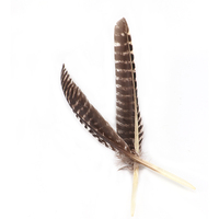 Plumes d'ailes de dinde naturelles 30-35CM en gros Plumes lavées à motifs pour l'artisanat et les décorations de flèches