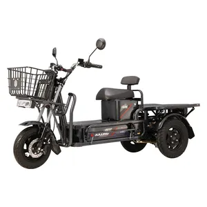 Julong 1500W Motor 72V 32Ah 90Km Long Driving Range 3 Wheel Cargo Electric Tricycle