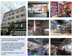 OEM personaliza logotipos personalizados de alta calidad. Tu Propia Marca. Ropa Interior Sexy. Para jóvenes. Calzones de Algodón Orgánico de Talle Bajo - Product Image 6