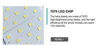 Module LED IP67 de remplacement 80W 100W, source lumineuse DC 54V, accessoires de lampe, couleur émise pour projecteur