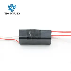 Wholesale High Voltage Generator High Voltage Module Voltage Inverter Transformer Booster Module 3-6V 400KV