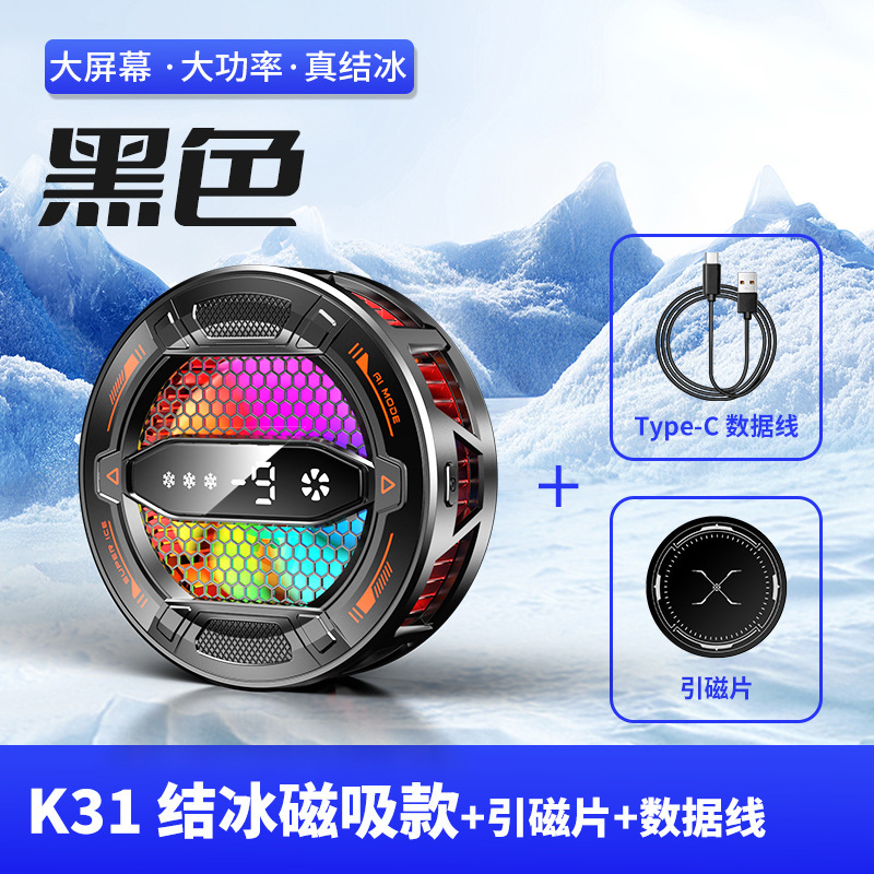 B31 Black
