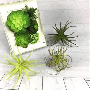 Nhân Tạo Nhà Máy Nhỏ Thấp Moq Màu Xanh Lá Cây Giáng Sinh Trang Trí Trung Quốc Bó Hoa Nhà Mặc Quần Áo Trang Trí Hoa Và Cây - Product Image 6