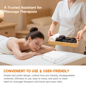 Kit Riscaldante per Pietre da Massaggio, Prodotti per Massaggi, Fornitore di Fabbrica, Pietre Calde Energetiche per Spa - Product Image 3