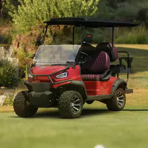 עגלת גולף חשמלית מיני 48V AC עגלת גולף בצבע זהב 2 מושבים עגלת גולף עם סוללת ליתיום עם אישור CE וציוד קאדי זנב