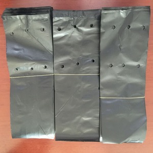 Sacchetto per funghi in plastica personalizzato - Product Image 2