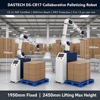 Paletizador de Alta Velocidad JINWEI DS-CR17-G/S, 17 kg, 2047 mm, 13 piezas/min, CE NSF ISO 12100, para Envasado de Alimentos y Productos para Mascotas, Sin Necesidad de Programación
