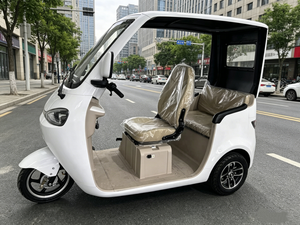 Tricycle Électrique à <span class=keywords><strong>3</strong></span> Roues avec Toit, <span class=keywords><strong>3</strong></span> Places, <span class=keywords><strong>Scooter</strong></span> Familial, Moteur Brushless 48V 60V 72V, pour Personnes Âgées - Vente en Gros - Product Image 1