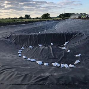 Géomembrane <span class=keywords><strong>HDPE</strong></span> imperméable, géomembranes 20/50/80 mil, revêtement <span class=keywords><strong>HDPE</strong></span>, prix, pisciculture, géomembrana, longue garantie, revêtements de bassin - Product Image 6